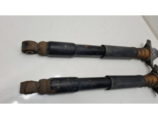 Задний aмортизатор      