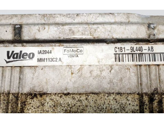 Интеркулер C1B19L440AB, MM113C2A Ford Ecosport 1.0