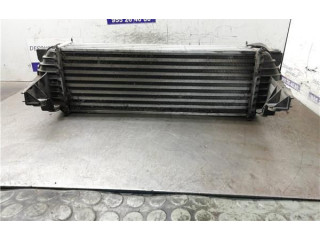 Интеркулер     Ford Transit -  Tourneo Connect 