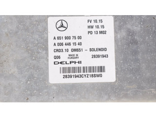 Řídící jednotka A6519007500, A0064461540 Mercedes-Benz E C207 W207 2013