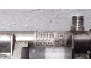 Топливная рампа CJ5G9H487BA, 0261555119   Ford Fiesta 1.6  для двигателя JTJA