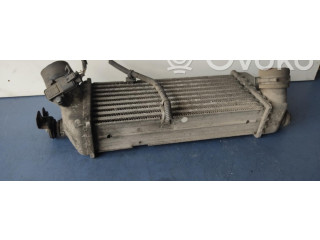 Интеркулер     KIA Rio 