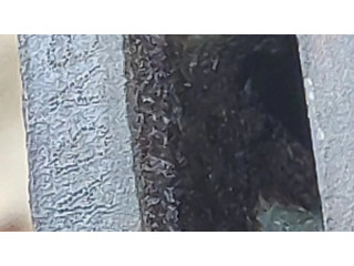 Передний тормозной диск       Alfa Romeo Giulia 2.0 D983, 17ABA819  