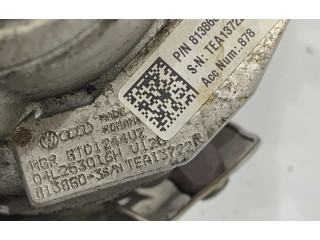  Турбина Skoda Octavia Mk3 (5E)  04L253016H         