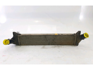 Интеркулер 8200409045, B1-2799E Dacia Duster