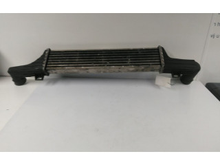 Интеркулер A2105001300, A2105001300 Mercedes-Benz E AMG W210