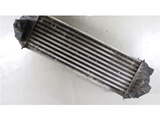 Интеркулер     Ford Transit -  Tourneo Connect 