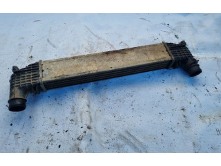 Интеркулер Ford Galaxy