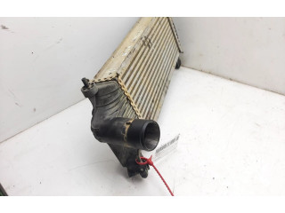 Интеркулер F6926006 Nissan Pathfinder R51