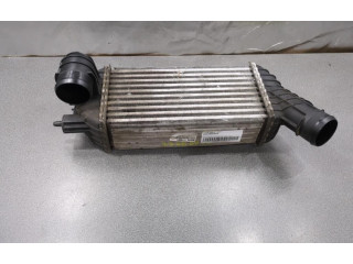 Интеркулер 00000384P3 DS Automobiles 4