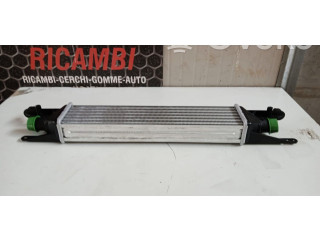 Интеркулер  55700449, 55700449   Fiat Punto Evo 
