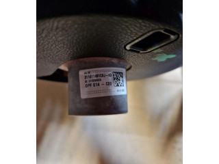 Руль Dacia Sandero - года