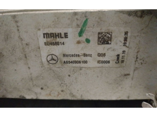 Блок управления двигателя A6540906100, A6540906100 Mercedes-Benz Vito Viano W447