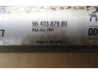 Vstřikovací lišta 9640387980, 9640387980 Citroen Berlingo