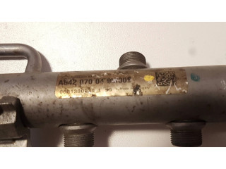 Vstřikovací lišta A6420700495, A6110780449 Mercedes-Benz R W251 pro benzínový motor 5.0 113971