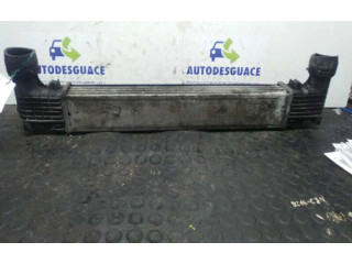 Интеркулер Seat Alhambra (Mk1)