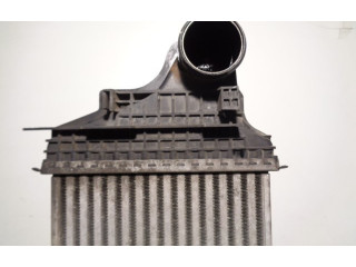 Интеркулер  A1645001900, N3292001BEHR   Mercedes-Benz R W251 