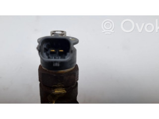 Форсунка 0445110252 Citroen C3 для дизельного двигателя