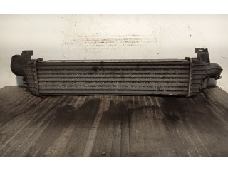 Интеркулер  4N5H9L440VF, 31280122   Volvo C30 