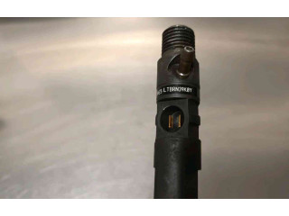 Форсунка 166000897R    Renault Clio III   