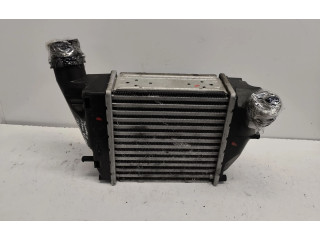 Интеркулер     Renault Twingo II 