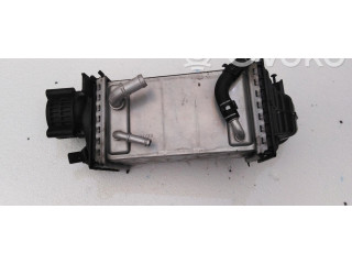 Интеркулер  04E145785M, 04E145785M   Cupra Formentor 