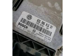 Řídící jednotka 3G906016DM, 281011882 Volkswagen Caddy 2005