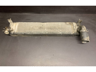 Интеркулер  14461JG70B, P3578001   Nissan X-Trail T31 