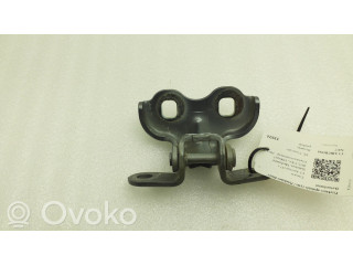 Передняя нижняя петля