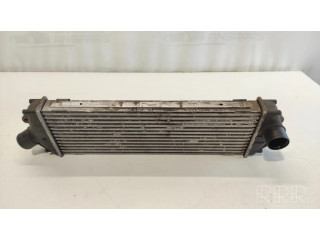 Интеркулер  992563J, 8200411160   Opel Vivaro 2.0