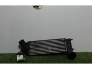 Интеркулер 00000384G0, 00000384G0 Citroen C8