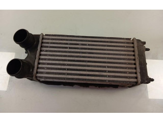 Интеркулер AV219L440AB Ford Ecosport