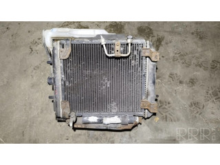 Панель радиаторов (телевизор)