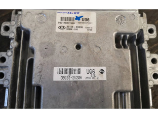 Блок управления двигателя 391012U206, 391012U206   KIA Ceed