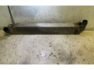 Интеркулер 8200880552, M144144 Dacia Duster