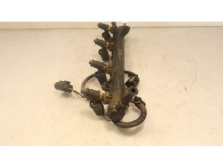 Топливная рампа Skoda Fabia Mk2 (5J) для двигателя BXW