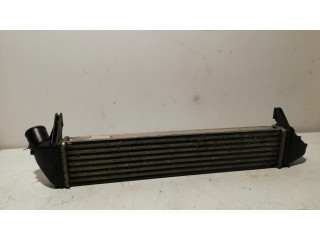 Интеркулер 8200409045 Dacia Dokker