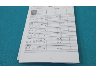 Vstřikovač 0445110800, IMPRK1441803 Renault Megane IV K9KU873