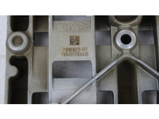 Čerpadlo oleje 7810823, 7810823 BMW 3 E90 E91