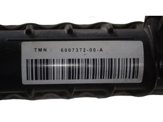 Радиатор охлаждающей жидкости 600737200A Tesla Model S L1S