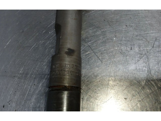 Форсунка 038130201F Volkswagen Golf SportWagen AGR