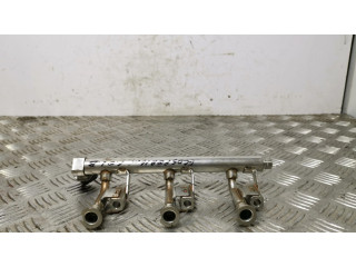 Топливная рампа CM5G9H487HD Ford Ecosport 1.0