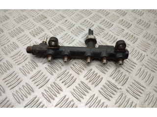 Комплект системы впрыска топлива 9674300080, 9674984080    Ford Kuga II  xrmc 