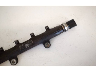 Топливная рампа bk2q9d280ab, 5WKS40731 Ford Transit Custom