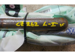 Подушка безопасности двери 3C0880741E Volkswagen Passat Alltrack