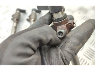 Комплект системы впрыска топлива 5WS40694, Bk2q9k546ag Ford Transit Custom cvff