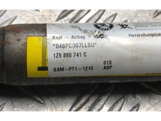 Боковая подушка безопасности 1Z9880741C, 1Z9880741C Skoda Octavia Mk2 (1Z)