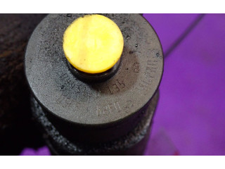 Vstřikovač 0445110135, 0445110135 Peugeot 206 CC 8