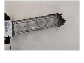 Интеркулер     Citroen Berlingo 