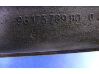 Топливная рампа 9617378980, 9617378980   Peugeot 406   для двигателя ---